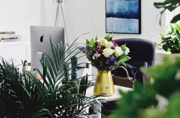 辦公室軟裝 辦公室軟裝