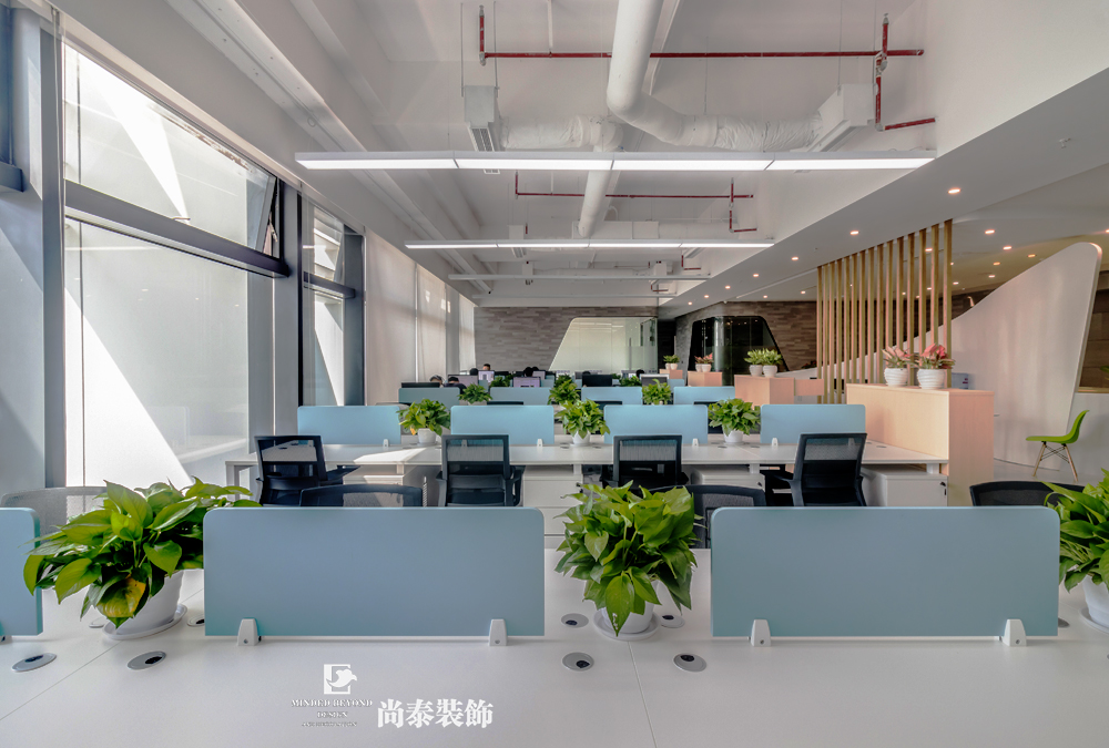 辦公室裝修實(shí)景圖