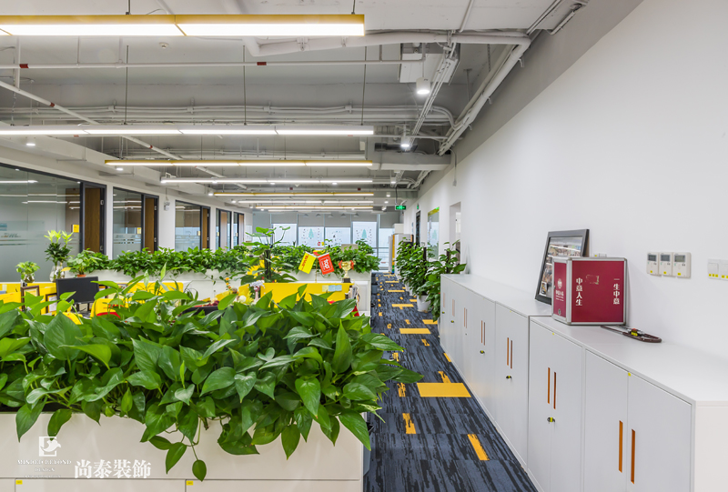 辦公室走廊裝修實景圖
