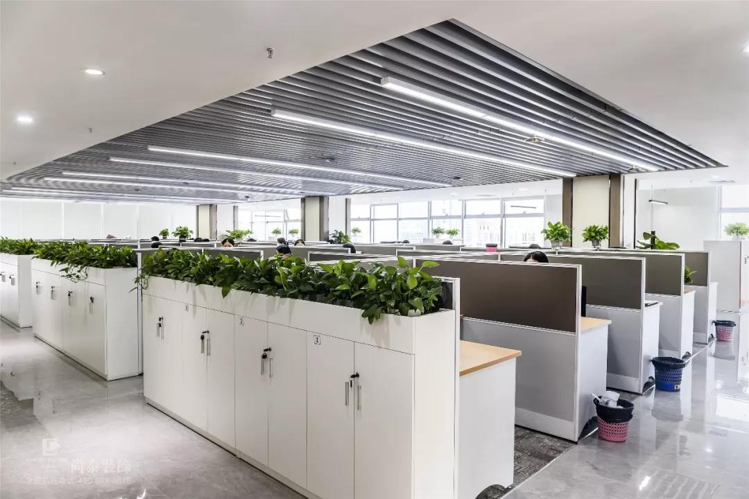 物流公司開放辦公區(qū)裝修實(shí)景圖